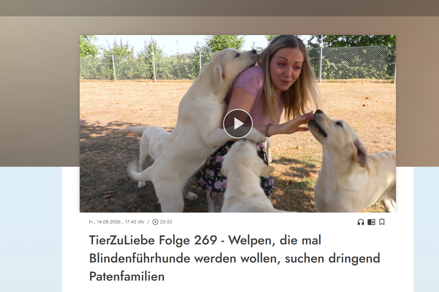 Tier zu Liebe TV Ingolstadt BfH Seitle